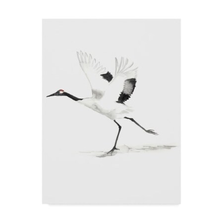 Trademark Fine Art Naomi Mccavitt 'Japanese Cranes Iii' Canvas Art, 18x24 WAG06301-C1824GG